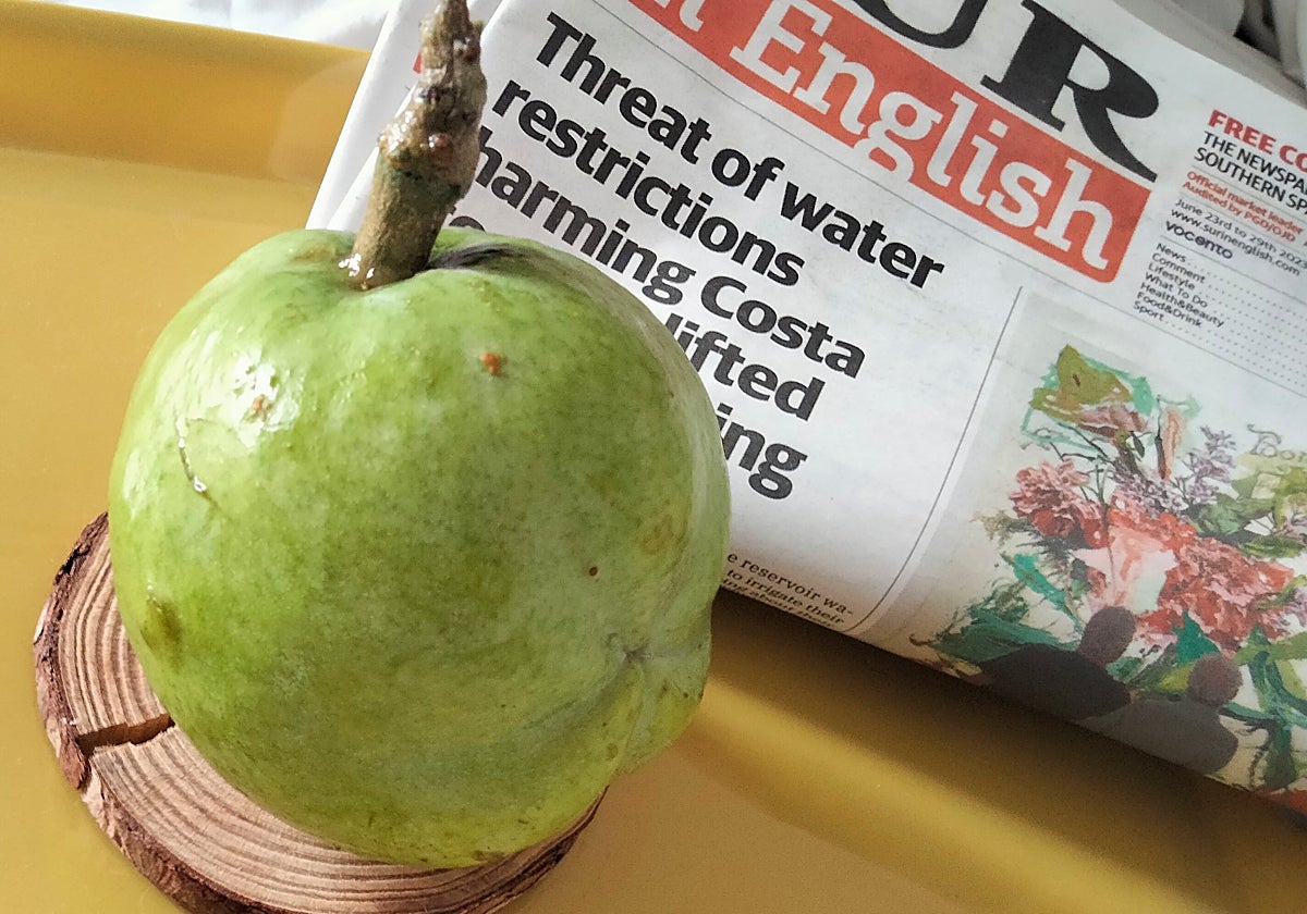 The fruit that tastes like vanilla flan Sur in English